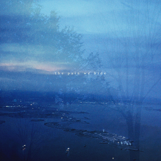 the pain we hide cover art