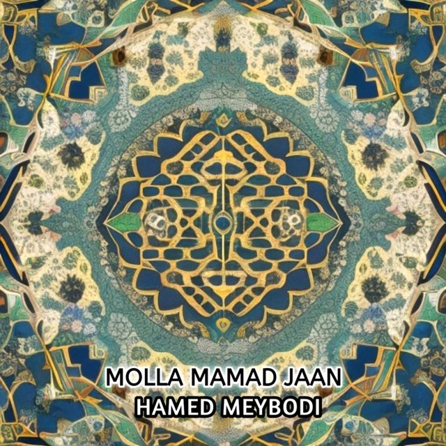 Hamed Meybodi