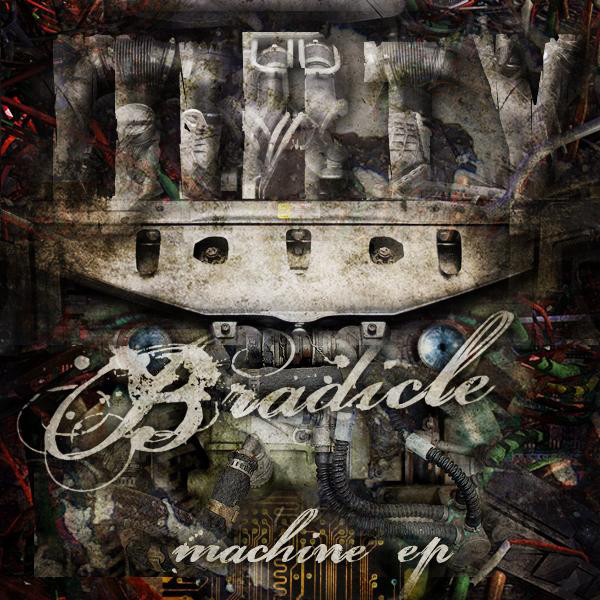 Bradicle