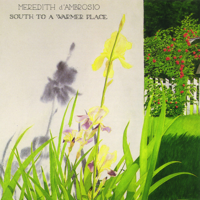 South To A Warmer Place — Meredith d'Ambrosio