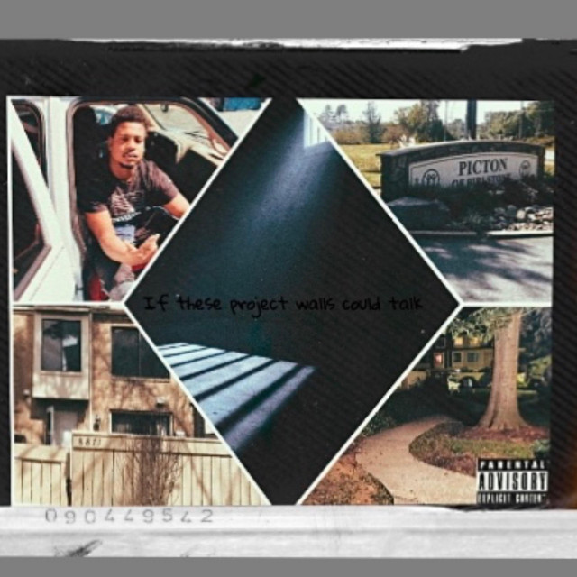If These Project Walls Could Talk cover art