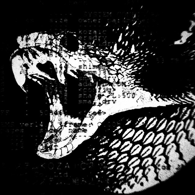 Обкладинка snxff — HI$$