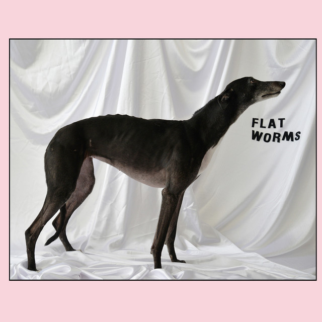 Flat Worms cover art