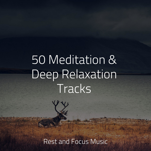 50 Meditation & Deep Relaxation Tracks - Album by Spa Relaxation & Spa ...