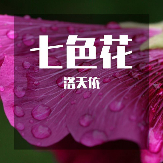 七色花 Single By 洛天依 Spotify
