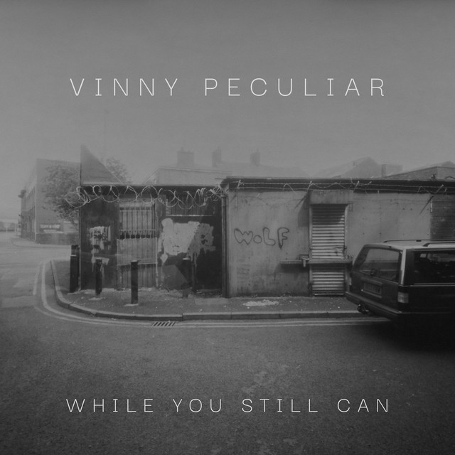 Omslag för While You Still Can av Vinny Peculiar