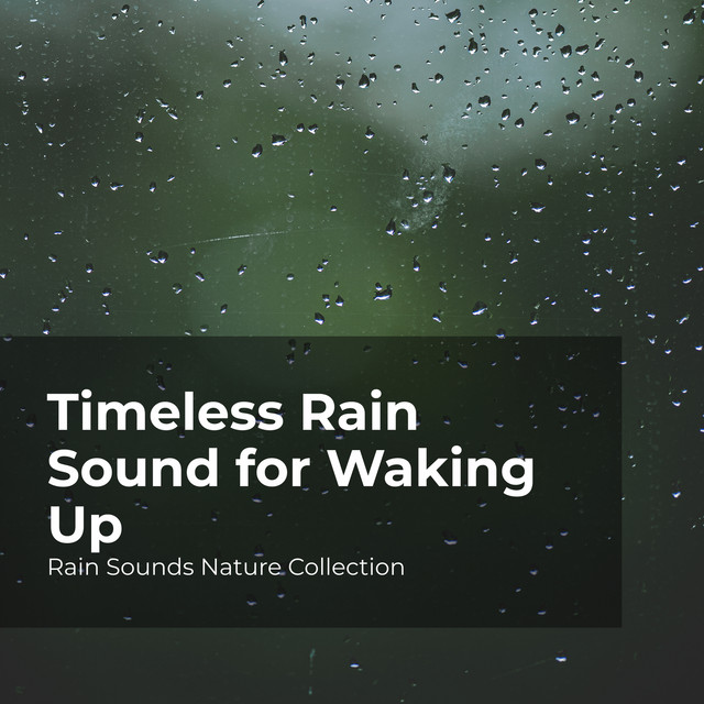 Timeless Rain Sound for Waking Up - Album by Rain Sounds Nature ...