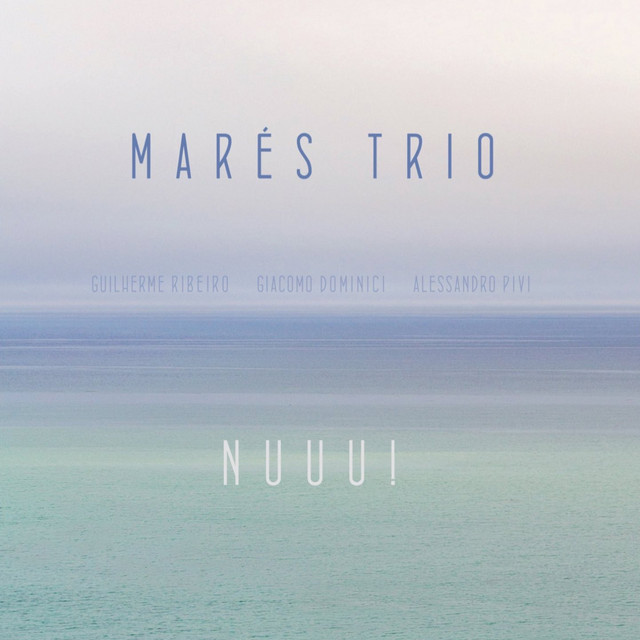 Nuuu! cover art