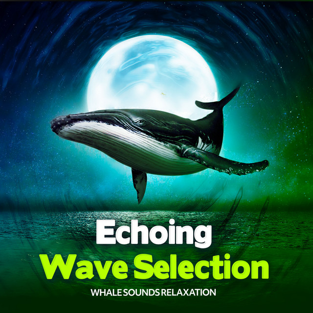 Echoing Wave Selection - Album by Whale Sounds Relaxation | Spotify