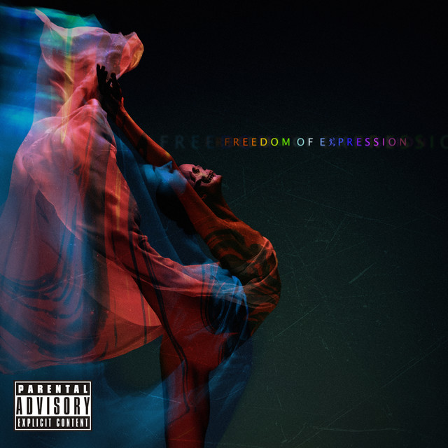 Freedom of Expression cover art