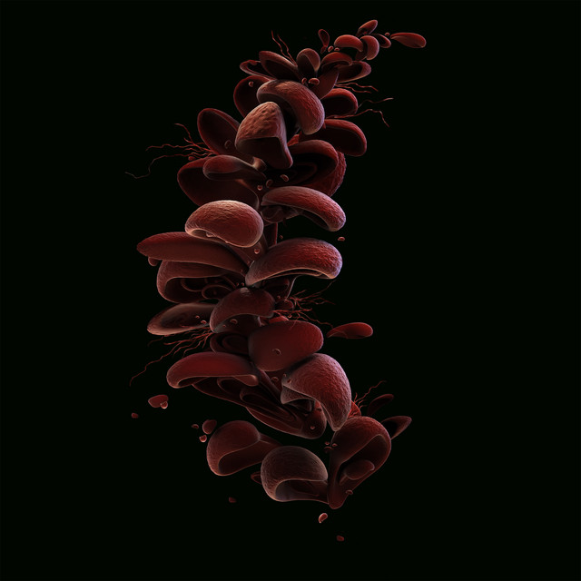 Inmarcesible cover art