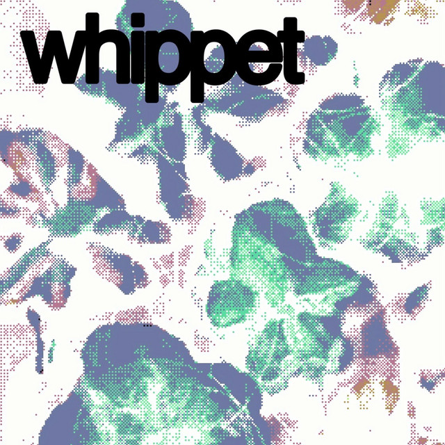 whippet cover art