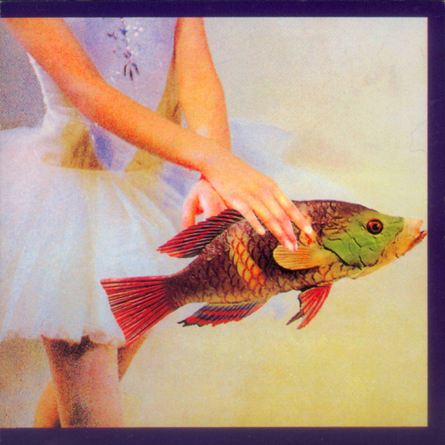 Chris Burke: Idioglossia cover art