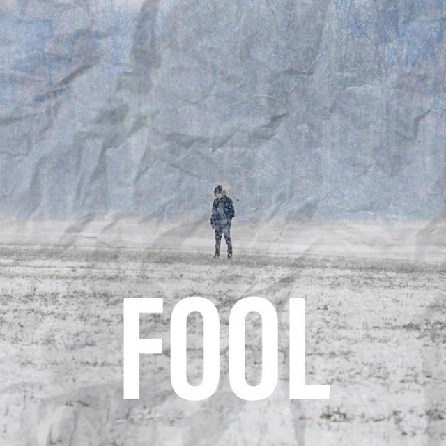 FOOL cover art