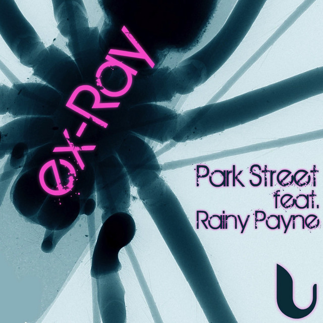 Ex-Ray - Hustle Mix cover art