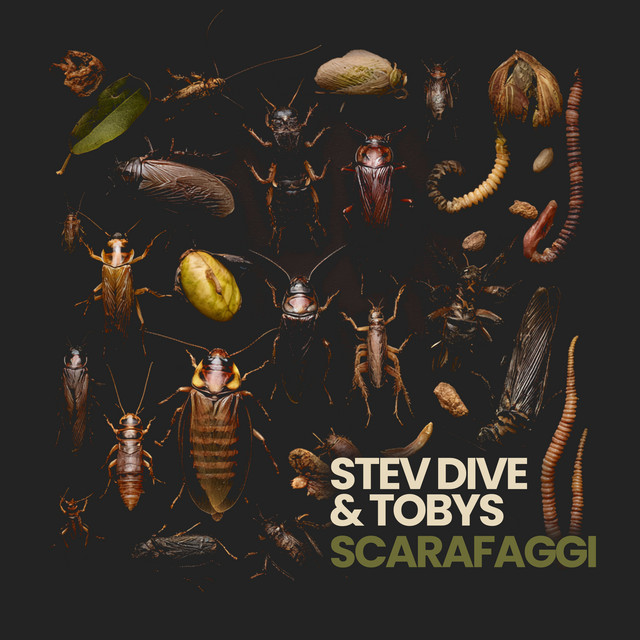 SCARAFAGGI