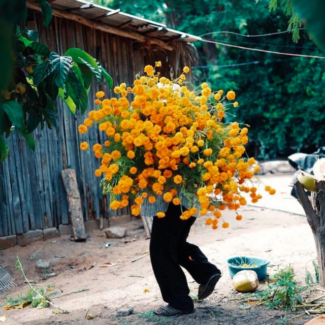 Forgotten Love Song, Pt. 1