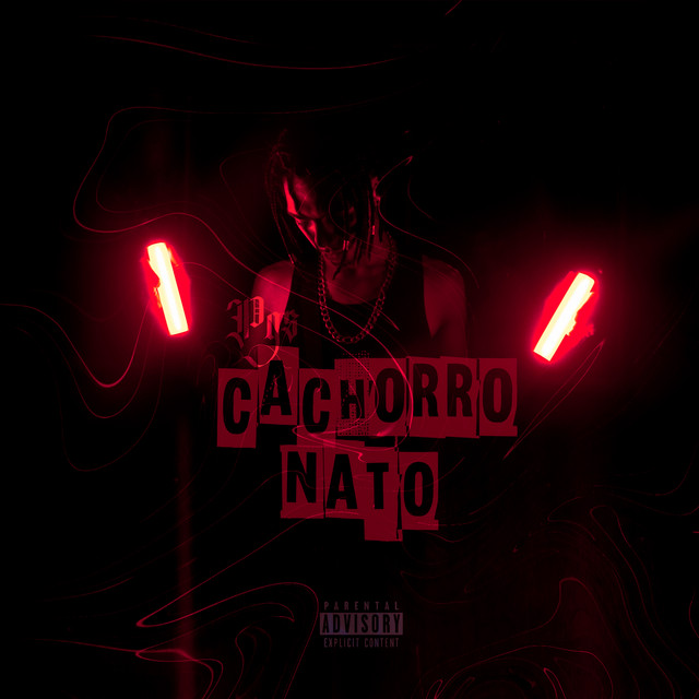 Cachorro Nato