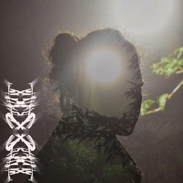 Duality cover art