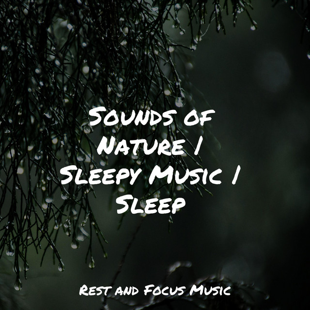 Sounds of Nature | Sleepy Music | Sleep - Album by Deep Sleep Music ...