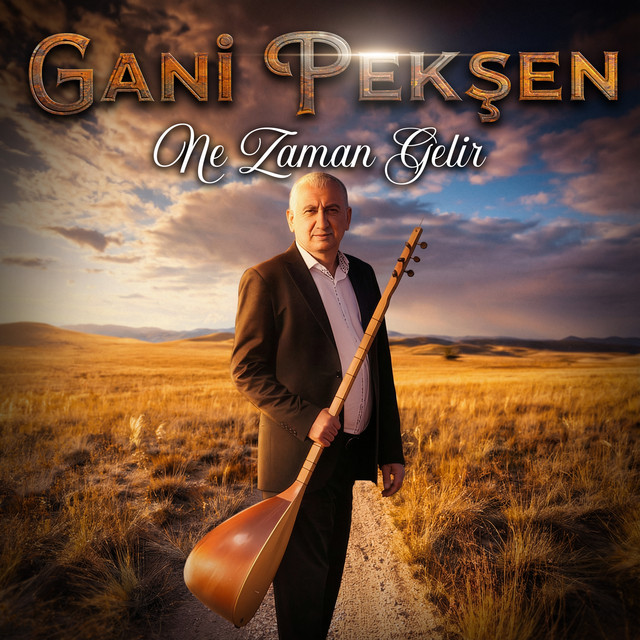 Ne Zaman Gelir cover