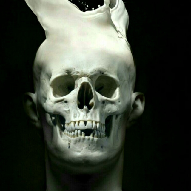 Skeleton Spring cover art