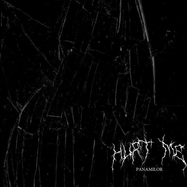 Обкладинка: Hurt Me — Panamilor