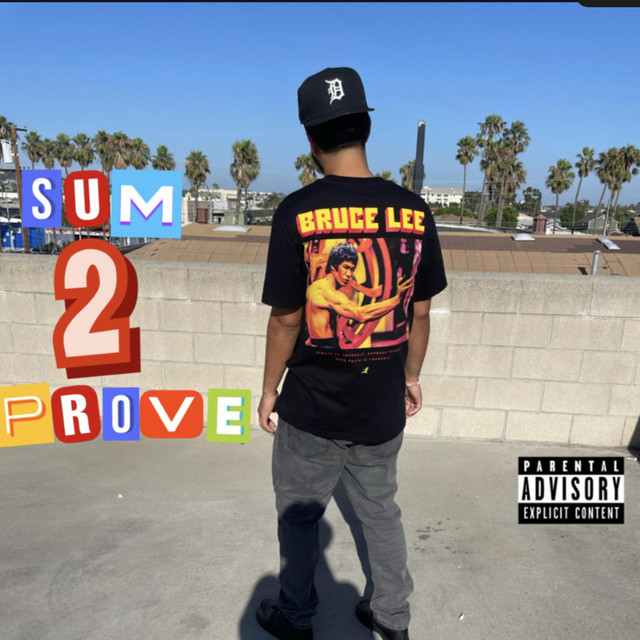 SUM 2 PROVE cover art