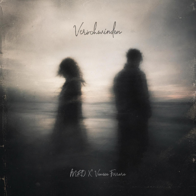 Verschwinden cover art