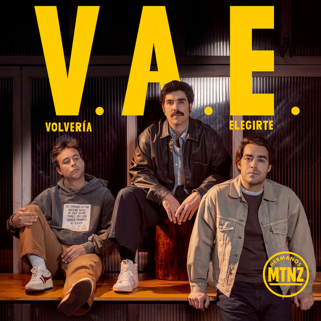 Volvería A Elegirte cover