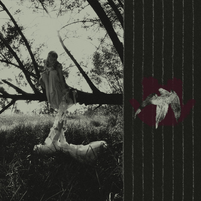 S / T cover art