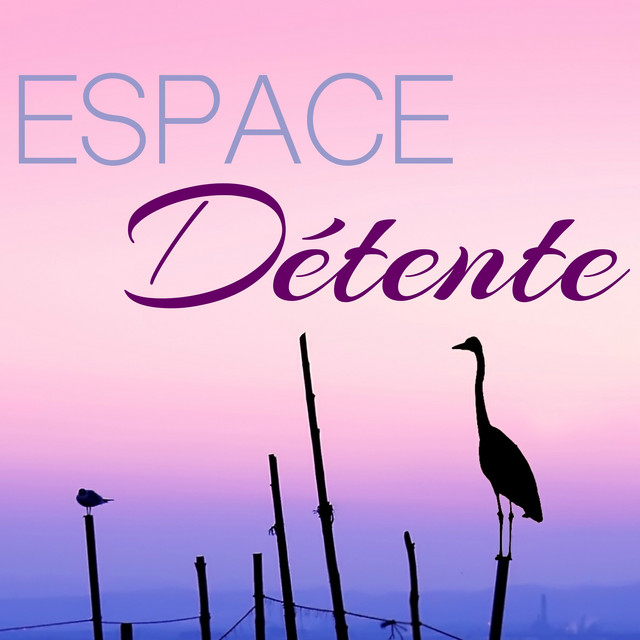 Espace Détente - Musique Massage Modelage du Corps pour Bien-être Relaxation cover art