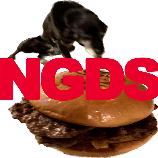 New Generation Dog Slavery cover art