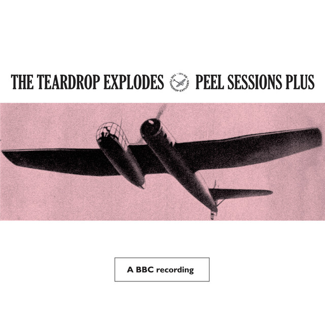 Peel Sessions Plus (BBC Version) cover art