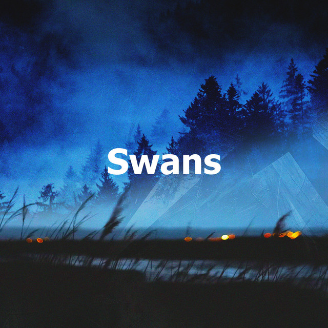 Swans – Álbum de Swans | Spotify