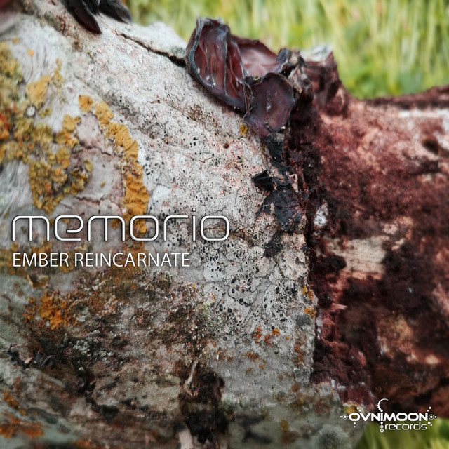 Ember Reincarnate cover