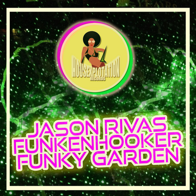 Funky Garden album art