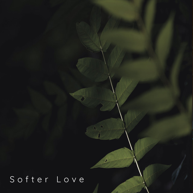 Обкладинка: Softer Love — Clavier
