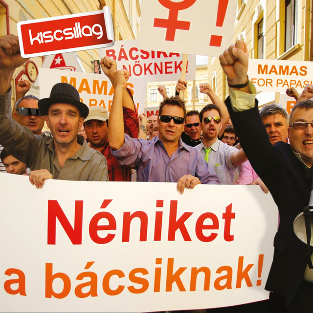 Néniket A Bácsiknak! cover art