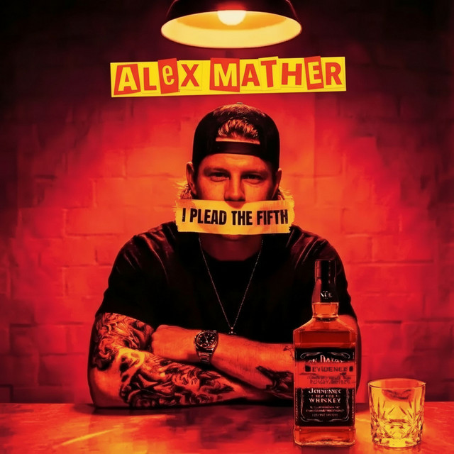 Plead The Fifth cover