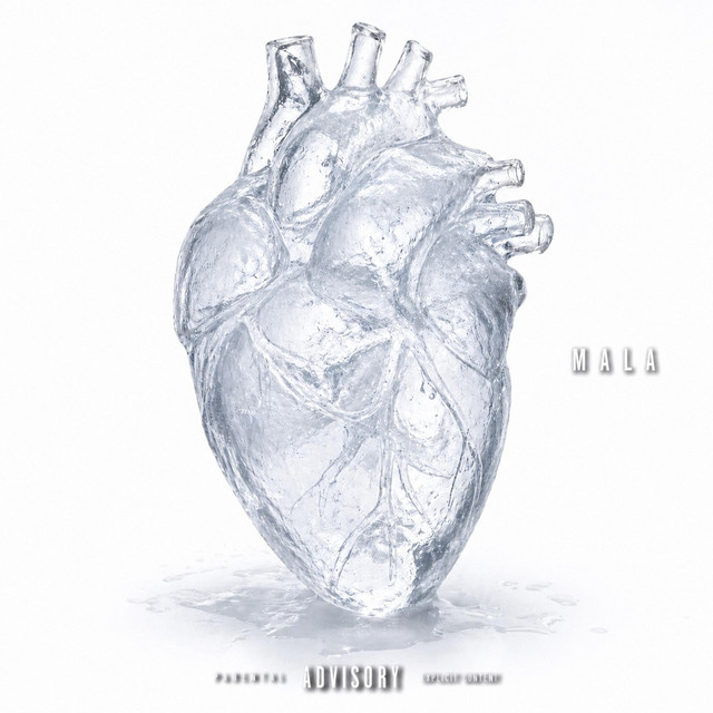 Coeur glacé cover art