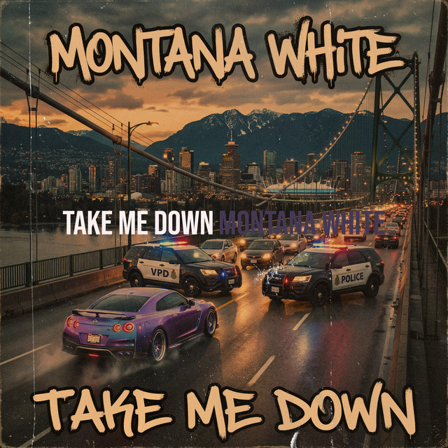 Take Me Down