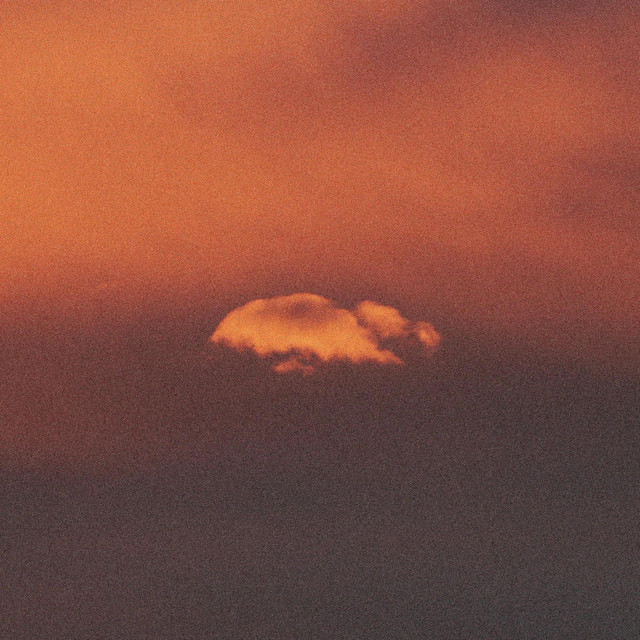 bloom cover art