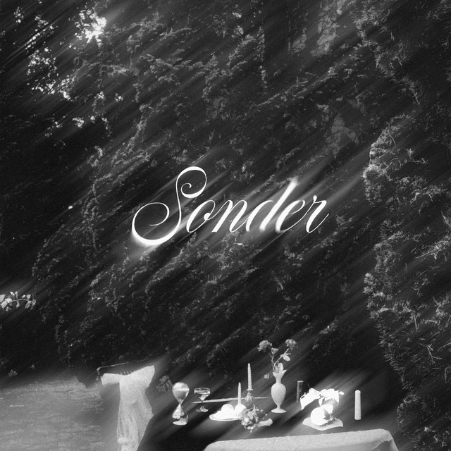 Sonder (Slowed Reverbed and Sped Up Version) cover art