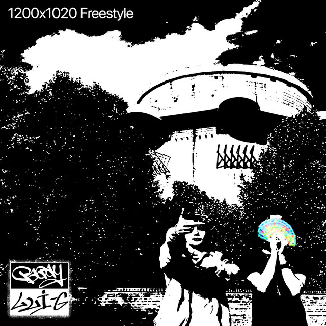 1200x1020