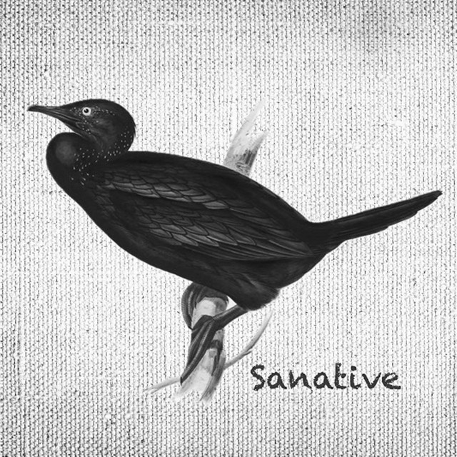 Sanative (Acoustic) cover art