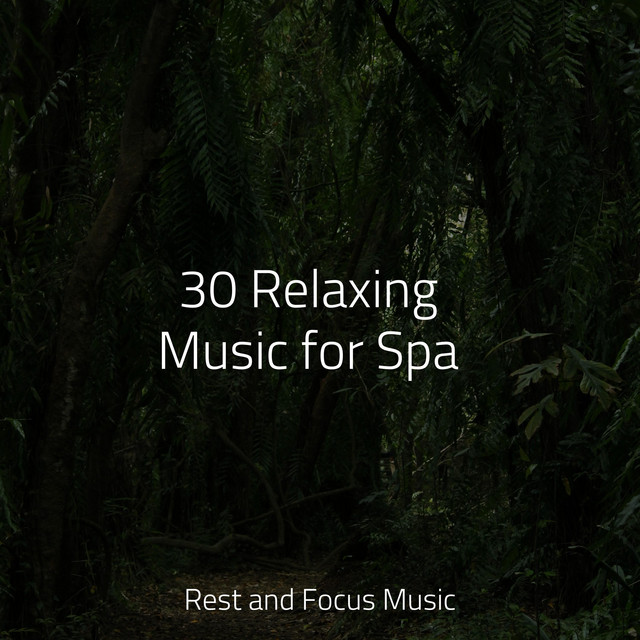 30 Relaxing Music for Spa - Album by White Noise Sleep Sounds | Spotify
