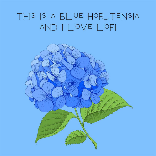 This Is a Blue Hortensia and i Love Lofi cover
