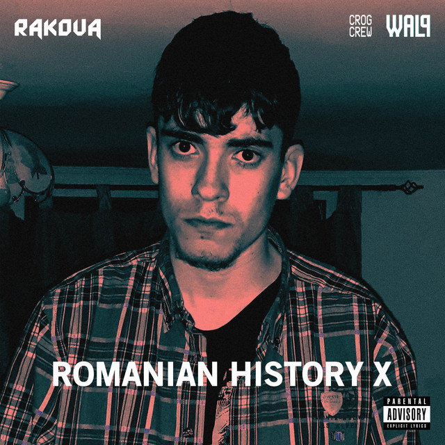 Romanian History X cover art