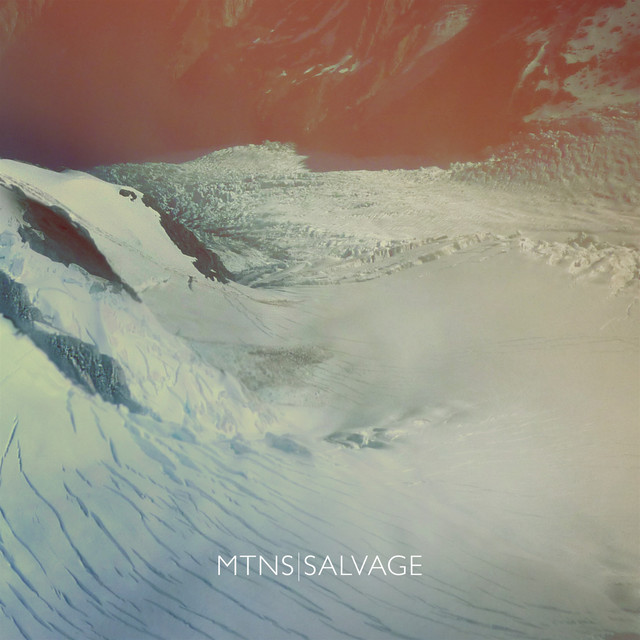 Salvage cover art